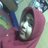 Anthy Missrokartsllusetia