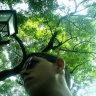antoniojrfb