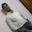 Arkya Ghosh