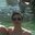 Arthur Cardoso