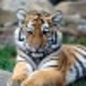 arunsingh1234