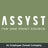 ASSYST Inc