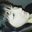 A Vanessa Caicedo P