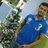 Avay Rajan