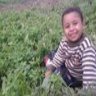 ayatahmed22