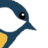 VidenDanmark 