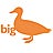 Big Duck