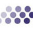 bis_foresight