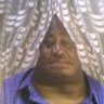 bletius
