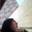 Bruno Mamoru Shibata