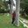 Md Azharuddin
