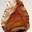 Calimaq S.I.Lex