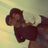 Cristian David Pinzon
