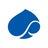 Capgemini
