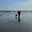 Carl Tyler