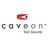 Caveon Test Security