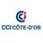 CCI 21