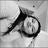 Aracely Denys