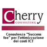 Cherry Consulting by S.M.
