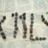 choxiuxiu