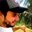 Cleber Santz