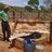 Water, food and livelihoods in River Basins:  Basin Focal Projects