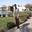 Ayman Aref