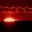 Damith Chathuranga