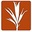 Development Seed