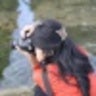 dheadome
