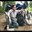 Dhirendra Joshi