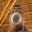 Minh Đỗ Hồng