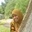Tiha Mygurl