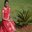 Divya Sasitharan
