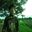 Dony Fray Siallagan