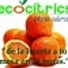 ecocitricsebresenia