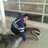 Colanex Edwin