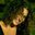 Eileen Bastianelli