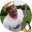 Roman Gelbort