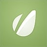 envato