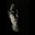 david jose jacome norato