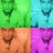 Erick Benites