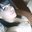 Fabiola Ponce Vital