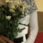 Fatin Izzah