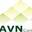 AVN Consulting