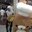 Fithria Sukmarini