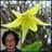 Frances Bell