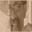 Frederick Noronha