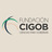 Fundación CiGob