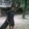 Endar Hartono